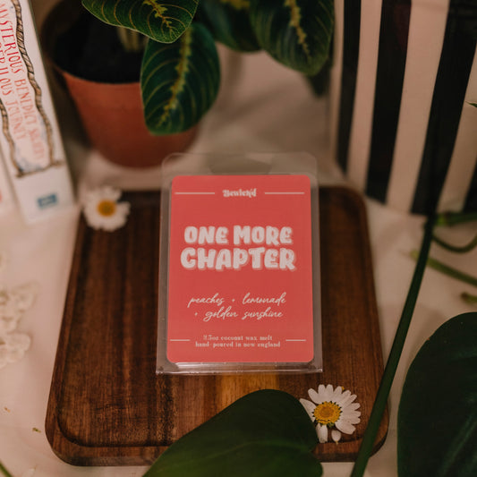 One More Chapter Wax Melt