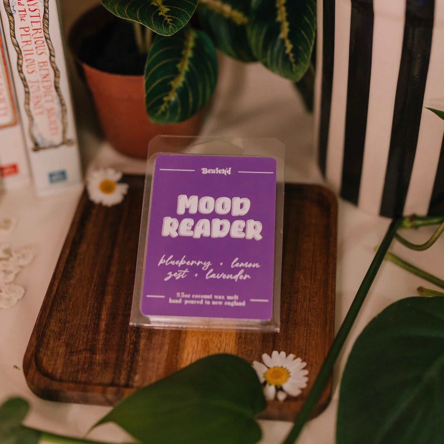 Mood Reader Wax Melt