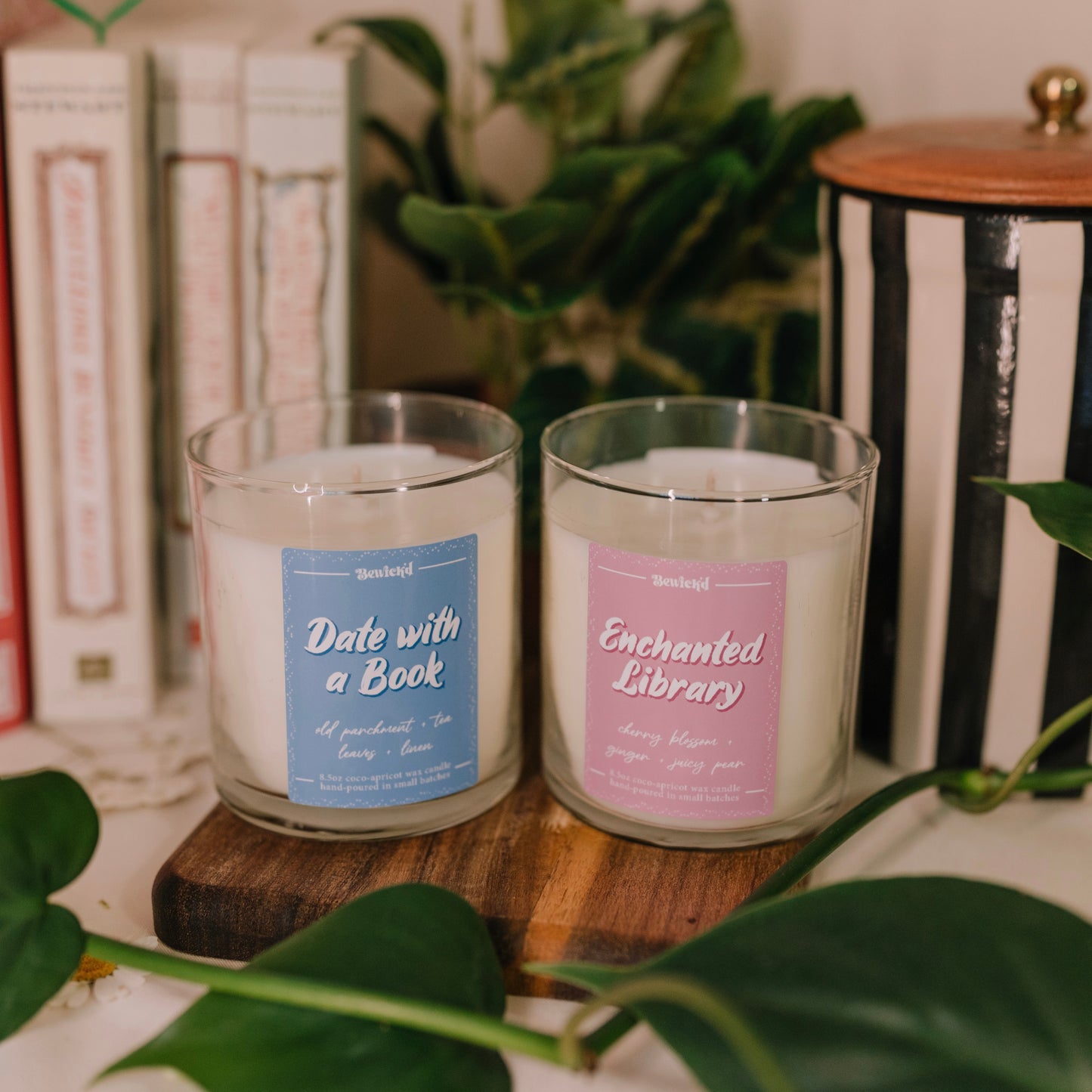 Enchanted Library 8.5oz Candle