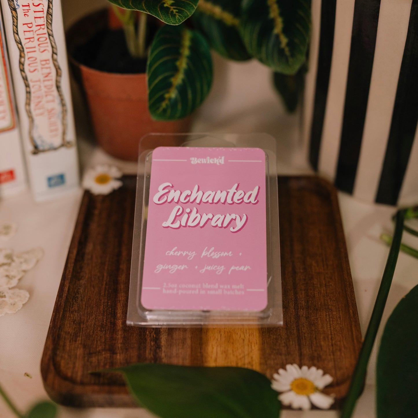 Enchanted Library Wax Melt