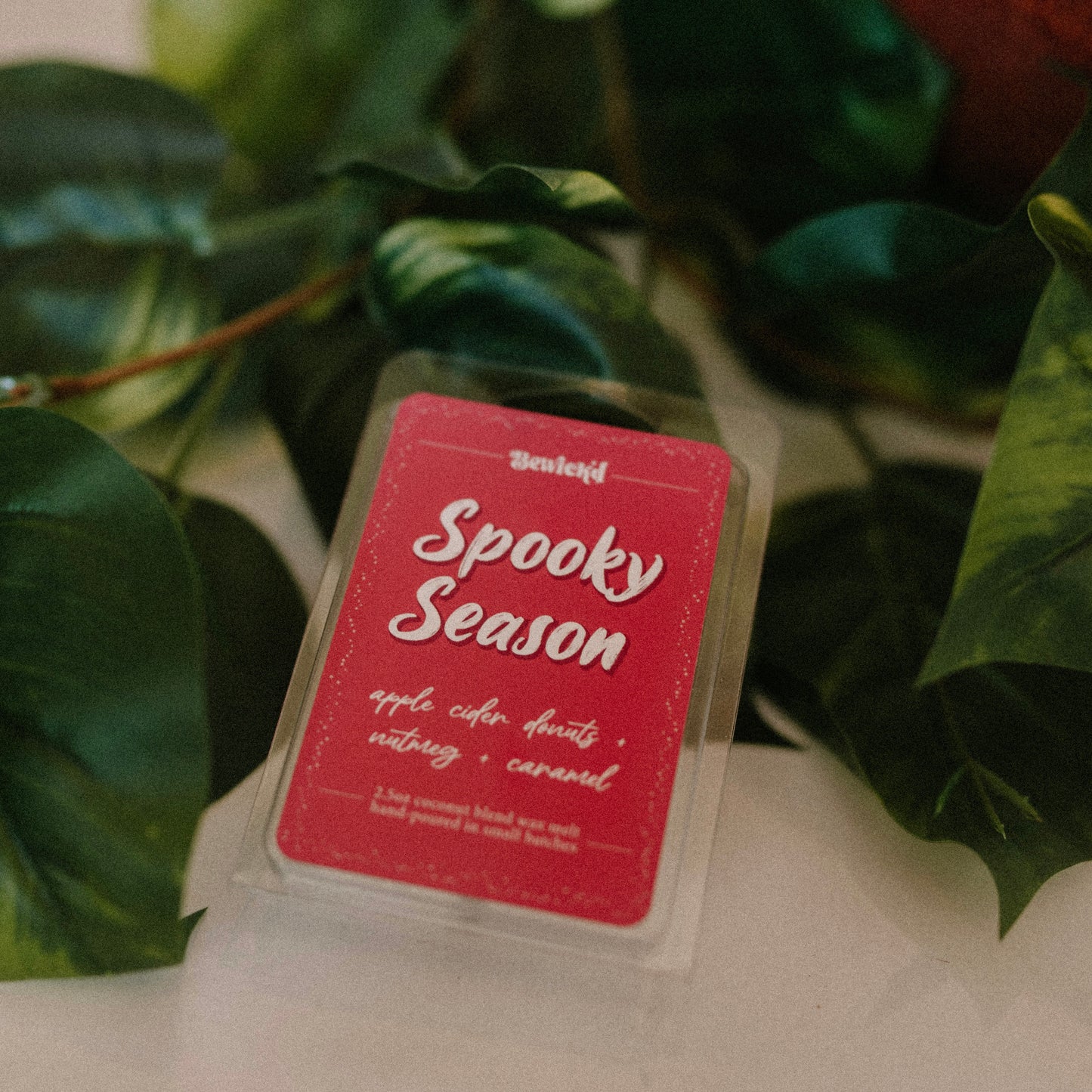 Spooky Season Wax Melt