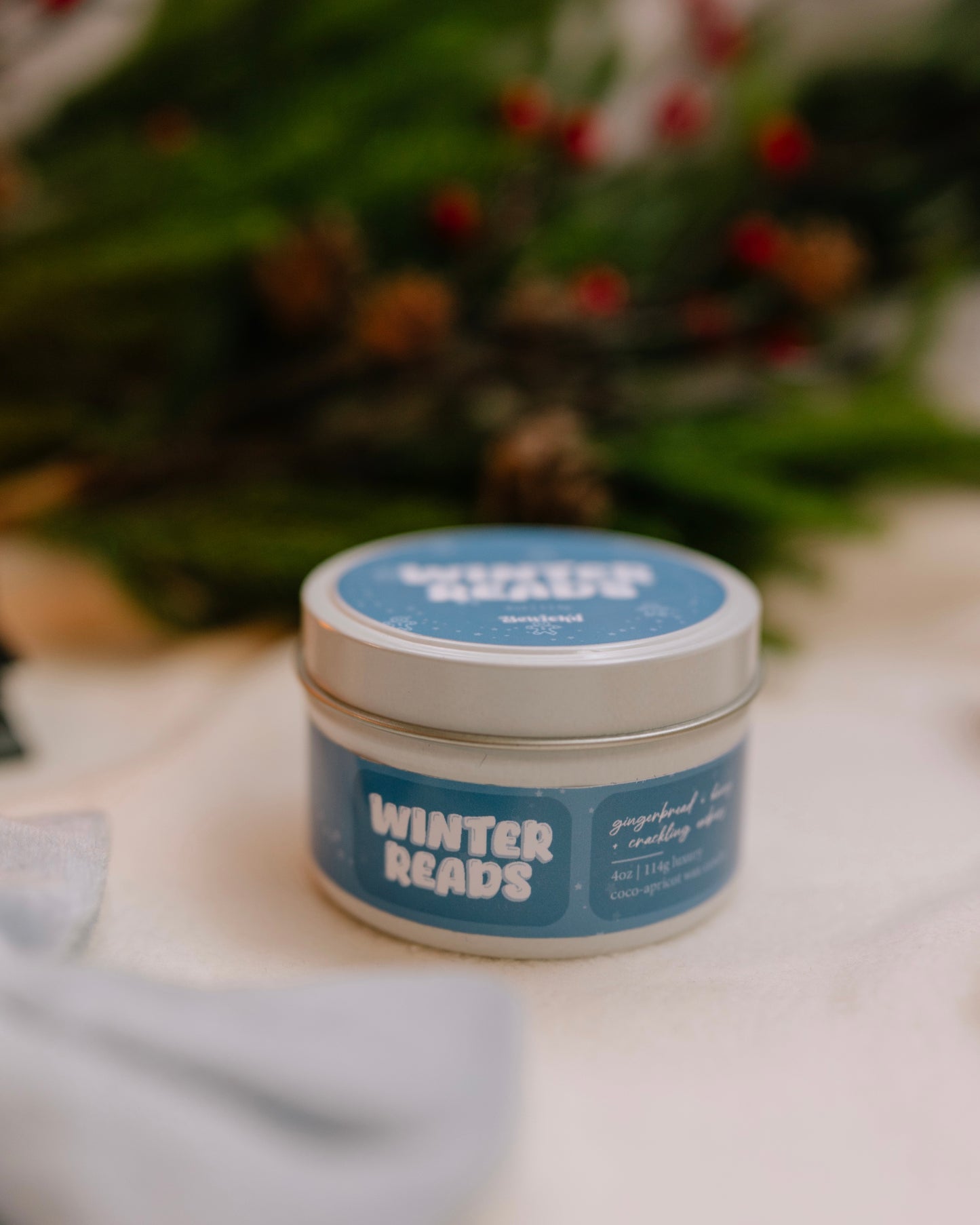 Winter Reads 4oz Candle